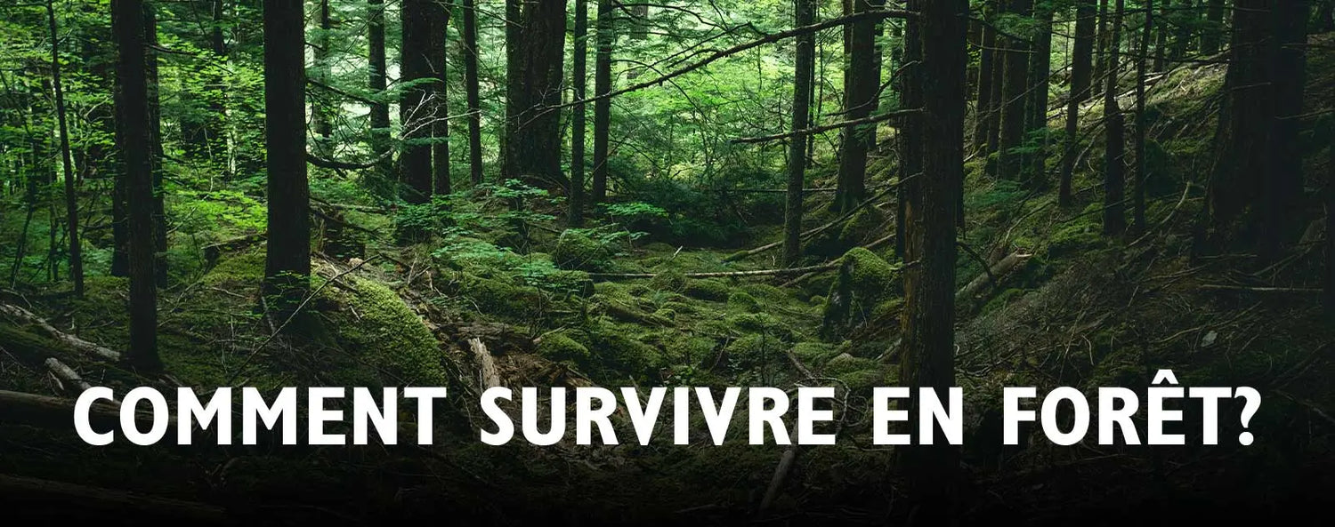 Comment Survivre en Forêt avec les Meilleurs Outils et Techniques ? - Survie Shop