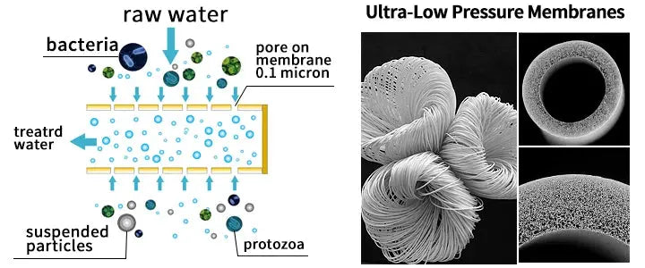 Système de filtration Survie et Trek Survie Shop