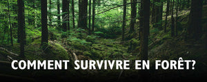 Wie überlebt man im Wald?